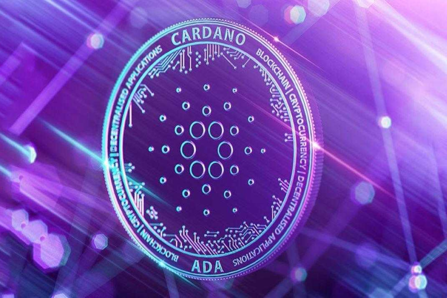 Opportunities in Cardano Network are Being Missed, Analyst Claims